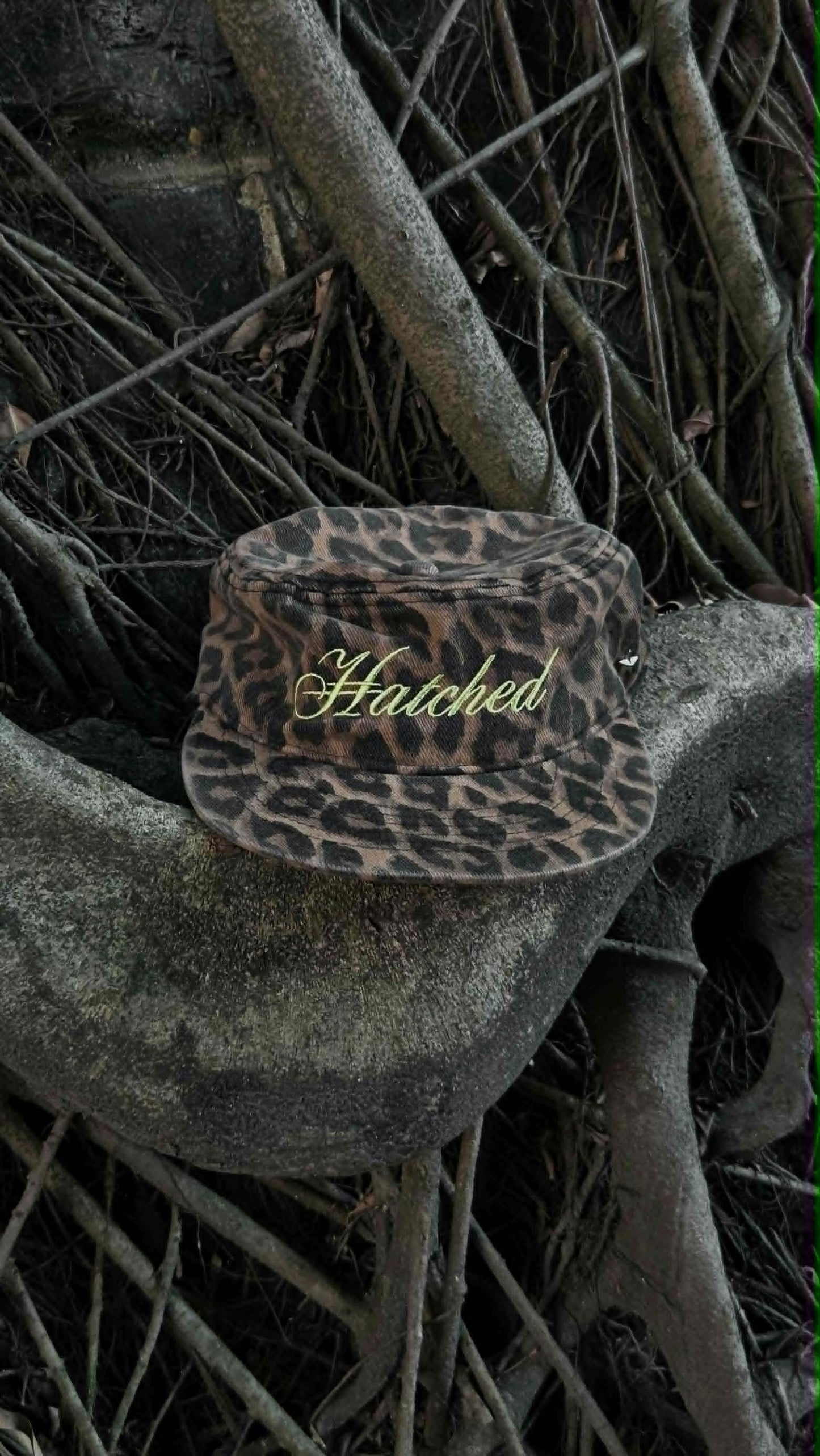 Wasabi Kitten Flat-Top Cap